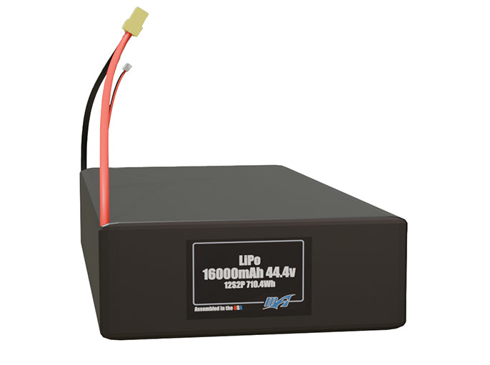 LiPo 16000mAh 12S2P 44.4v Battery Pack