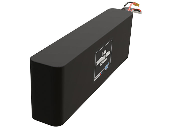 Li-ion 10000mAh 11S2P 39.6v Battery Pack