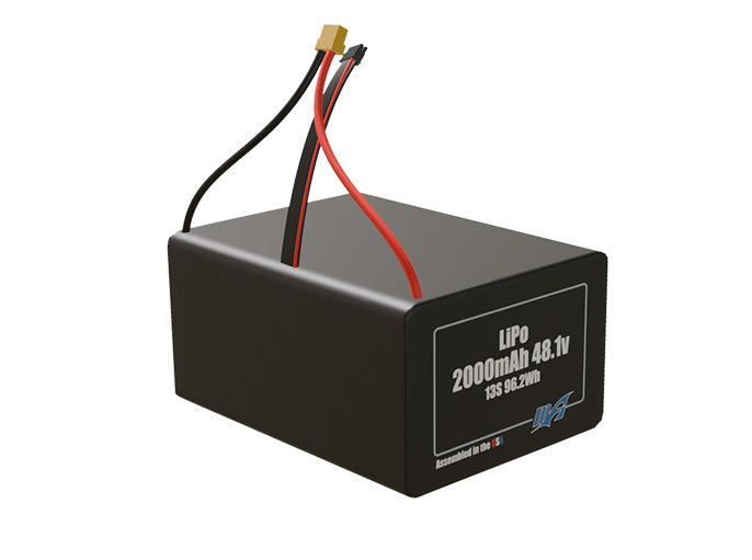 LiPo 2000mAh 13S 48.1v Battery Pack