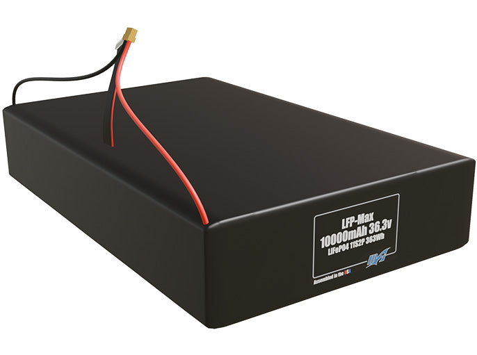 LFP-Max LiFePO4 10000 11S2P 36.3v Battery Pack