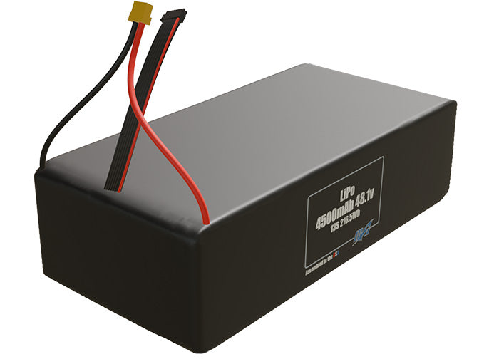 LiPo 4500mAh 13S 48.1v Battery Pack