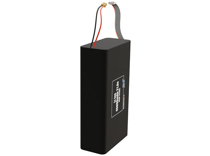 Li-ion 45000mAh 6S9P 21.6v ETE Battery Pack