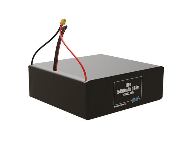 LiPo 5450mAh 14S 51.8v Battery Pack