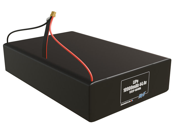 LiPo 10900mAh 12S2P 44.4v Battery Pack