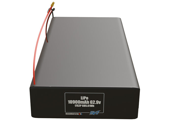 LiPo 10900mAh 17S2P 62.9v Battery Pack