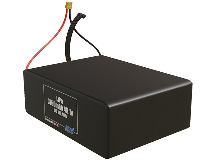 Graphene LiPo 3750mAh 13S 48.1v Battery Pack