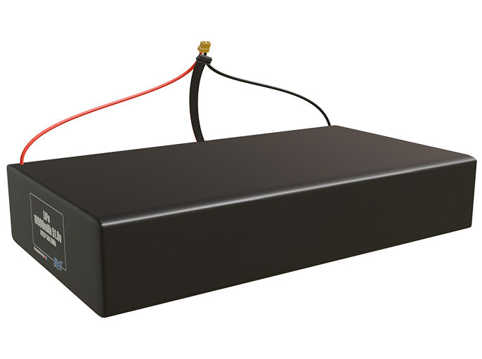 LiPo 10900mAh 14S2P 51.8v Battery Pack