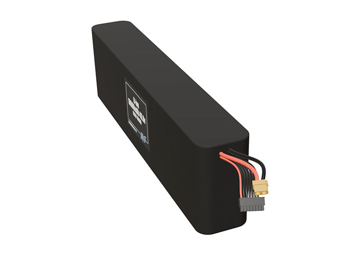 Li-ion 10000mAh 13S2P 46.8v Battery Pack