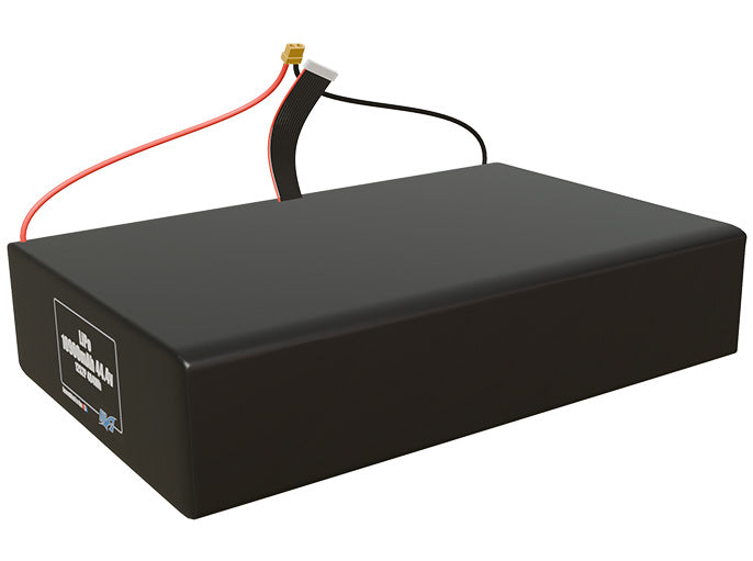 LiPo 10900mAh 12S2P 44.4v Battery Pack