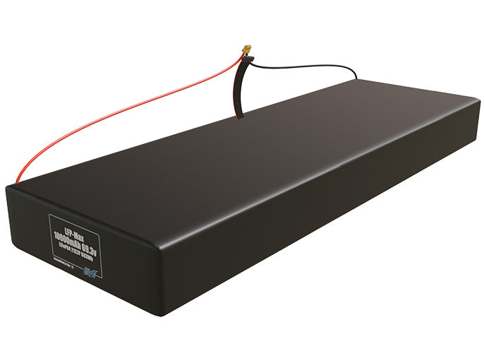LFP-Max LiFePO4 10000 21S2P 69.3v Battery Pack