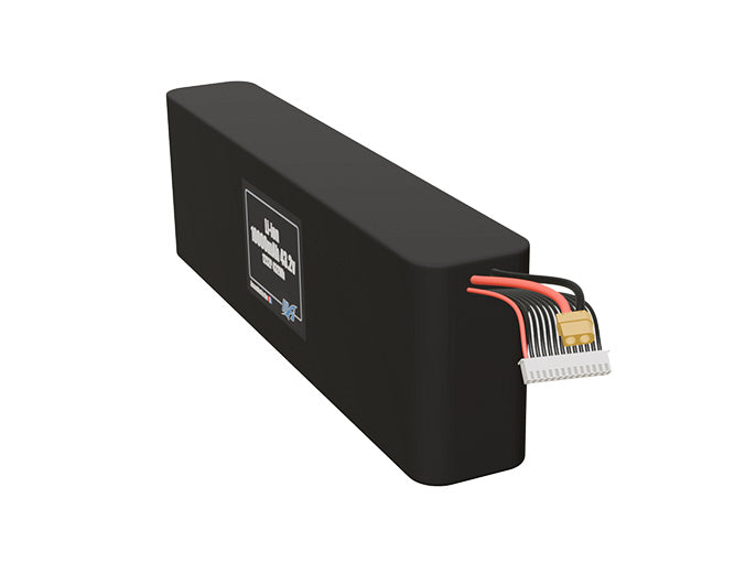 Li-ion 10000mAh 12S2P 43.2v Battery Pack