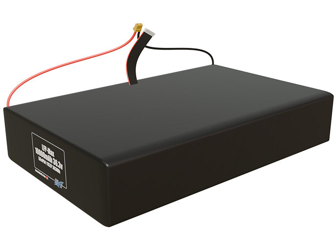 LFP-Max LiFePO4 10000 11S2P 36.3v Battery Pack