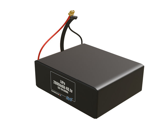 LiPo 2800mAh 13S 48.1v Battery Pack