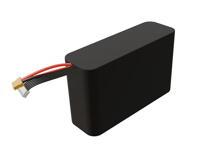 Li-ion 9000mAh 6S2P 21.6v Battery Pack