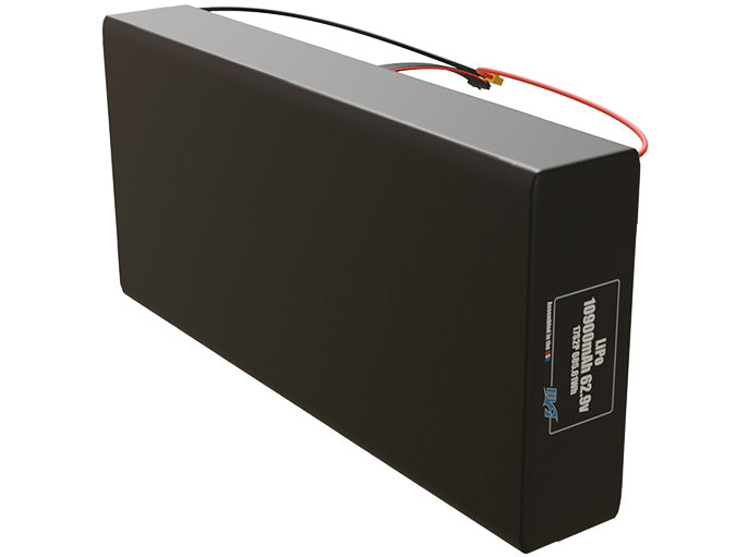 LiPo 10900mAh 17S2P 62.9v Battery Pack