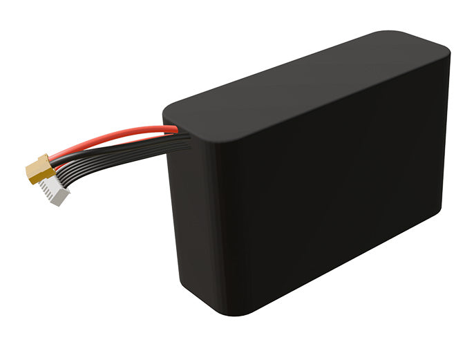 Li-ion 10000mAh 6S2P 21.6v Battery Pack