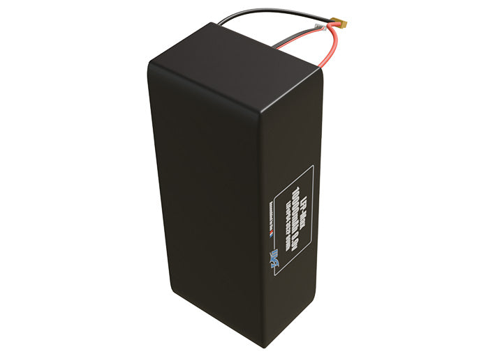LFP-Max LiFePO4 10000 3S2P 9.9v Battery Pack