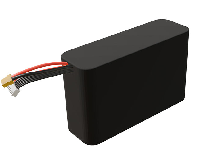 Li-ion 7000mAh 6S2P 21.6v Battery Pack
