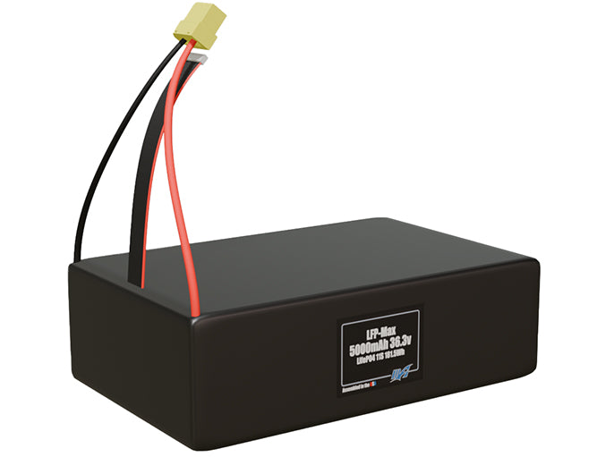 LFP-Max LiFePO4 5000 11S 36.3v Battery Pack