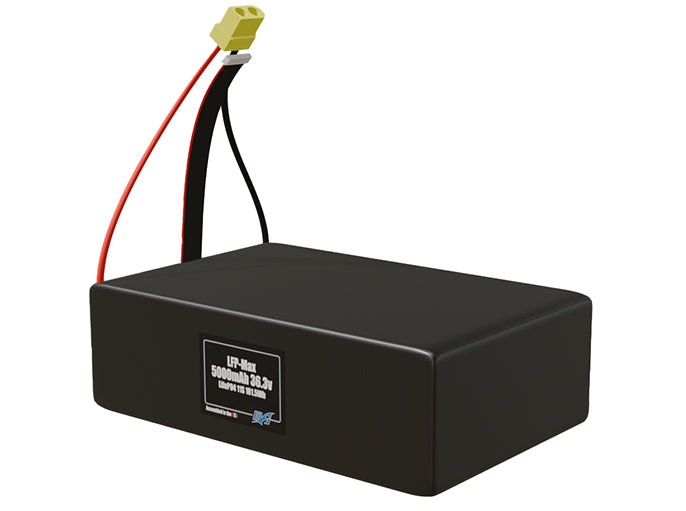 LFP-Max LiFePO4 5000 11S 36.3v Battery Pack