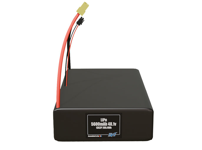 LiPo 5600mAh 13S2P 48.1v Battery Pack