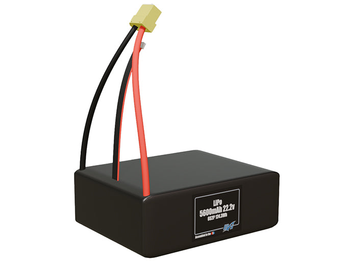 LiPo 5600mAh 6S2P 22.2v Battery Pack