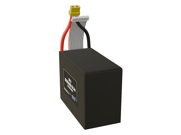 Angled product render of the 8000mAh lite twelve-cell side by side LiPo pack. A lightweight energy source for UAV, drone, and robotic builds.