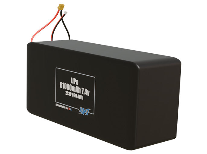 Angled product render of the 81000mAh 6-cell LiPo pack. A lightweight energy source for UAV, drone, and robotic builds.