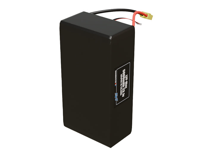 LFP-Max LiFePO4 5000 7S 23.1v Battery Pack