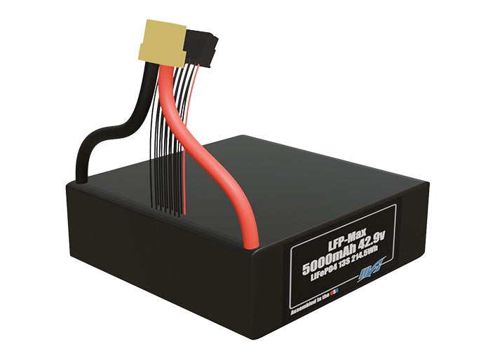 LFP-Max LiFePO4 5000 13S 42.9v Battery Pack
