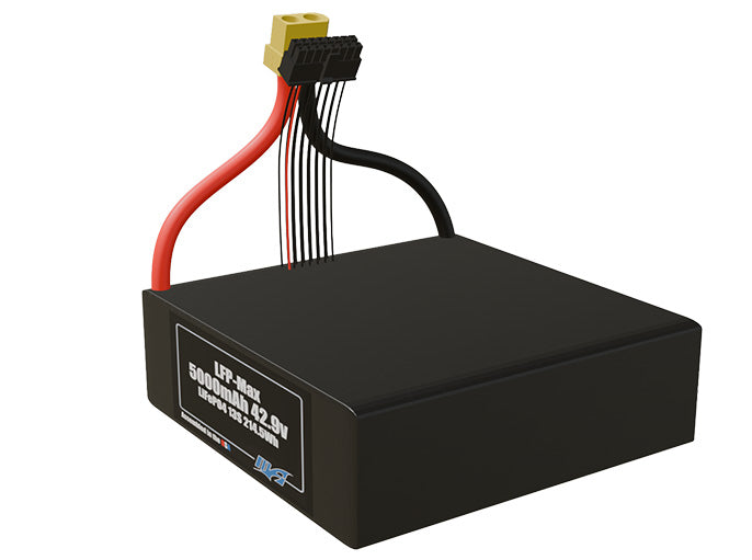 LFP-Max LiFePO4 5000 13S 42.9v Battery Pack