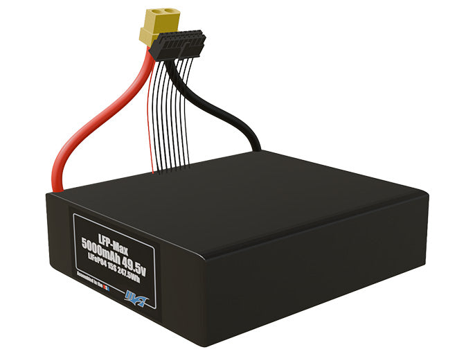 LFP-Max LiFePO4 5000 15S 49.5v Battery Pack