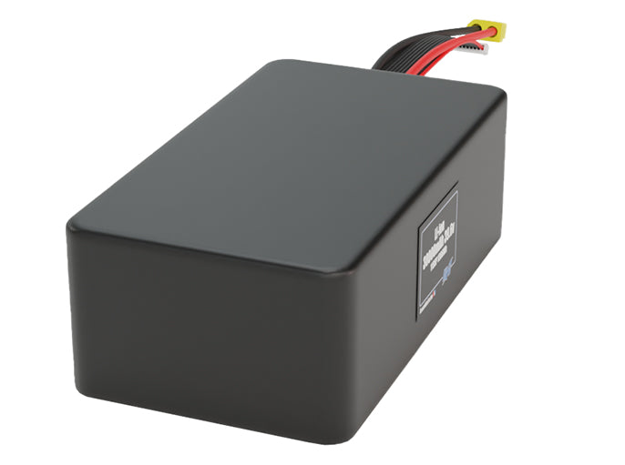 Li-ion 30000mAh 11S6P 39.6v Battery Pack