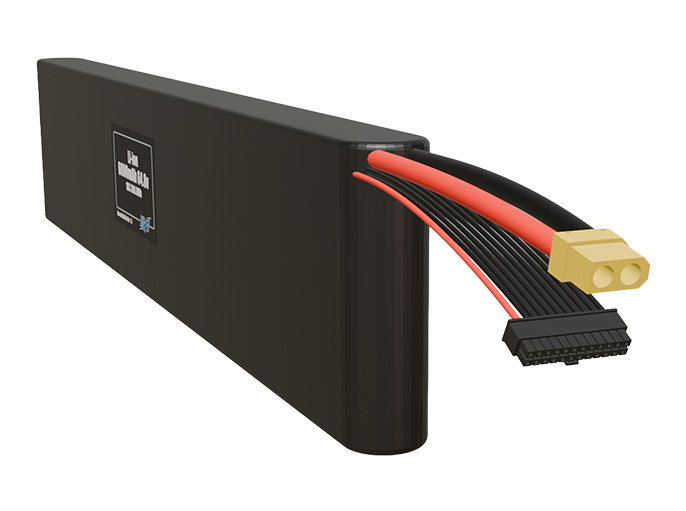Li-ion 6000mAh 18S 64.8v Battery Pack