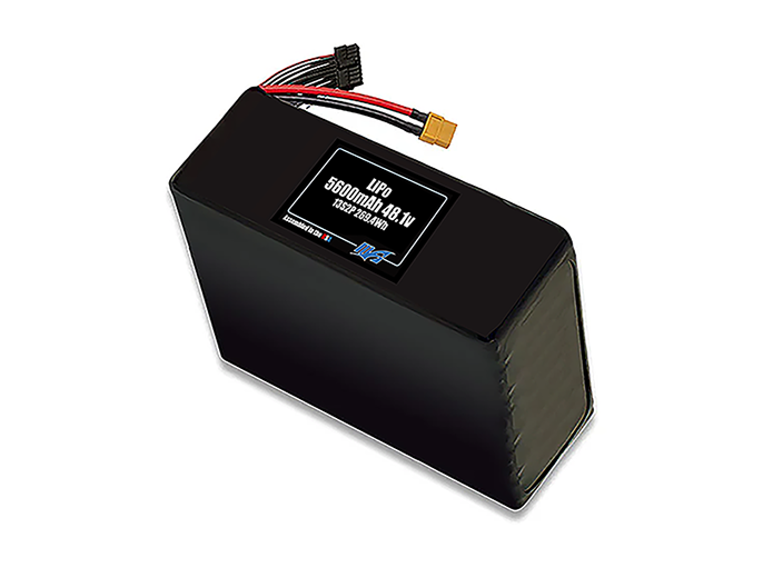 LiPo 5600mAh 13S2P 48.1v Battery Pack