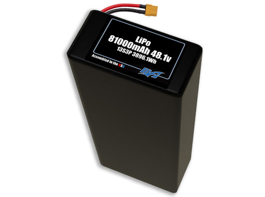 LiPo 81000 13s3p 48.1v Battery Pack