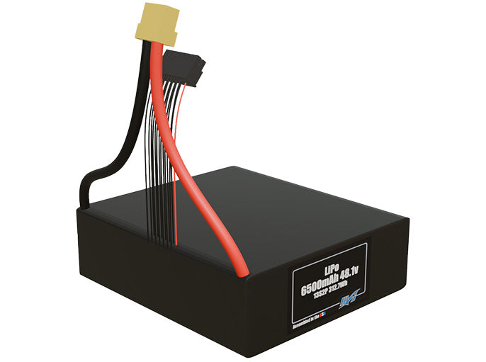 LiPo 6500mAh 13S2P 48.1v Battery Pack