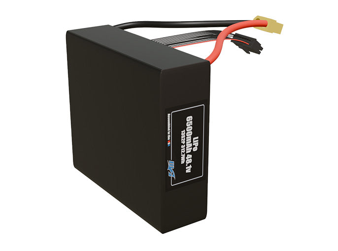 LiPo 6500mAh 13S2P 48.1v Battery Pack