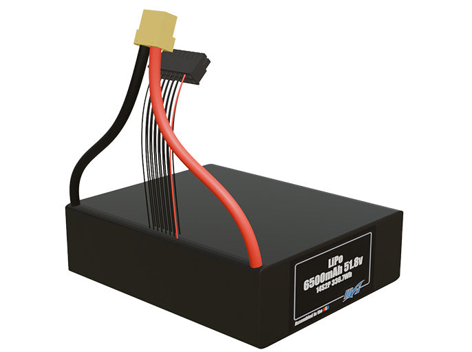 LiPo 6500mAh 14S2P 51.8v Battery Pack