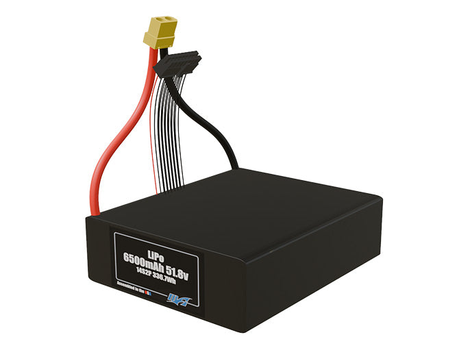 LiPo 6500mAh 14S2P 51.8v Battery Pack