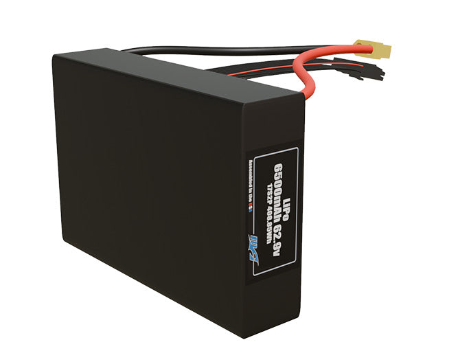 LiPo 6500mAh 17S2P 62.9v Battery Pack