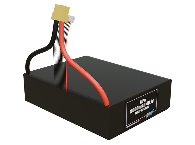 LiPo 8000mAh 11S2P 40.7v Battery Pack