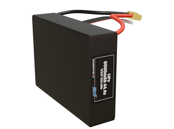LiPo 8000mAh 12S2P 44.4v Battery Pack