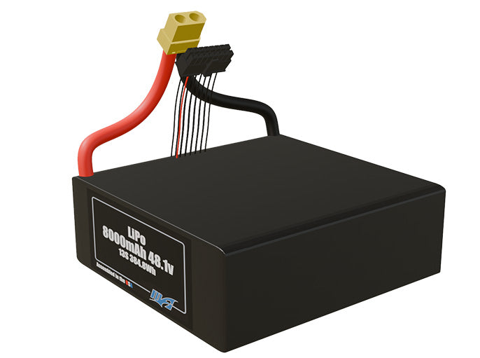 LiPo 8000mAh Lite 13S 48.1v Battery Pack