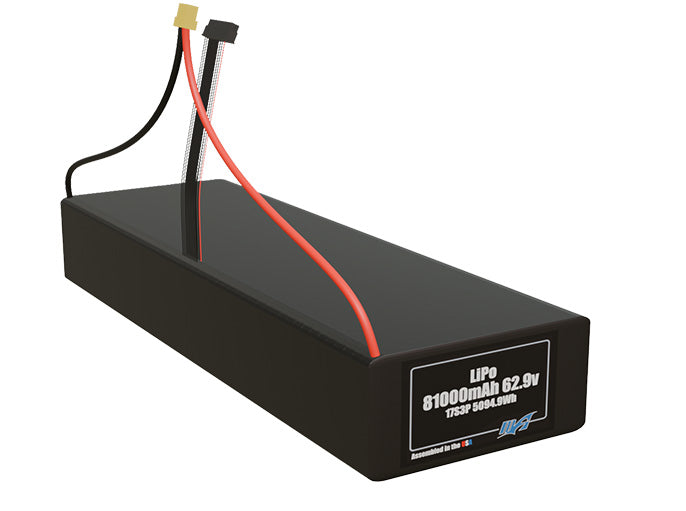 LiPo 81000mAh 17S3P 62.9v NMC Battery Pack