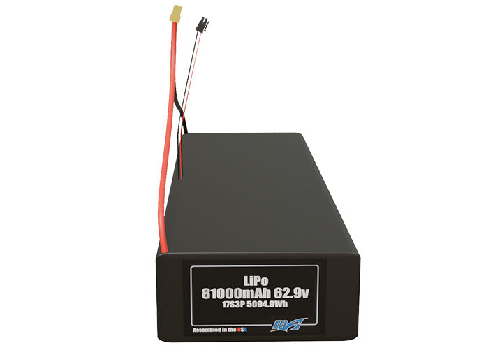 LiPo 81000mAh 17S3P 62.9v NMC Battery Pack