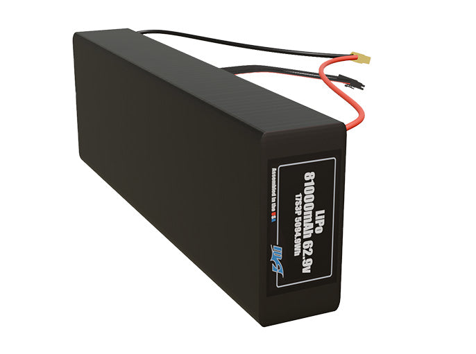 LiPo 81000mAh 17S3P 62.9v NMC Battery Pack