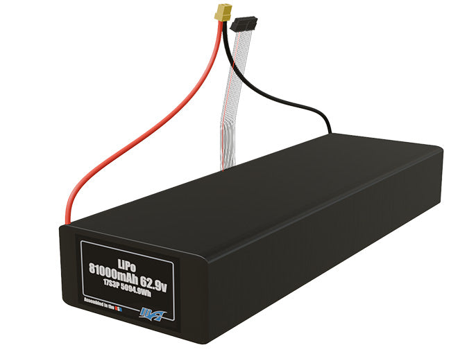 LiPo 81000mAh 17S3P 62.9v NMC Battery Pack