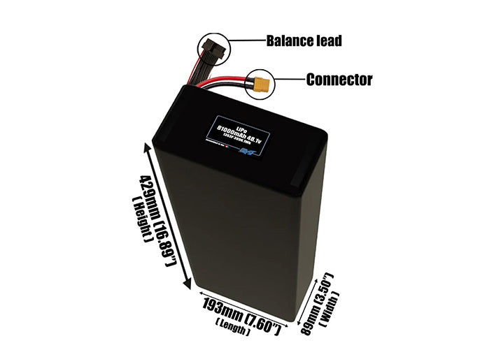 LiPo 81000mAh 13S3P 48.1v Battery Pack