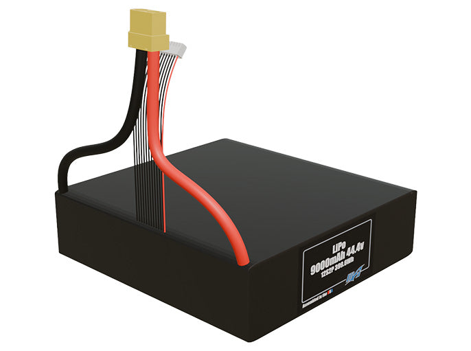 LiPo 9000mAh 12S2P 44.4v Battery Pack